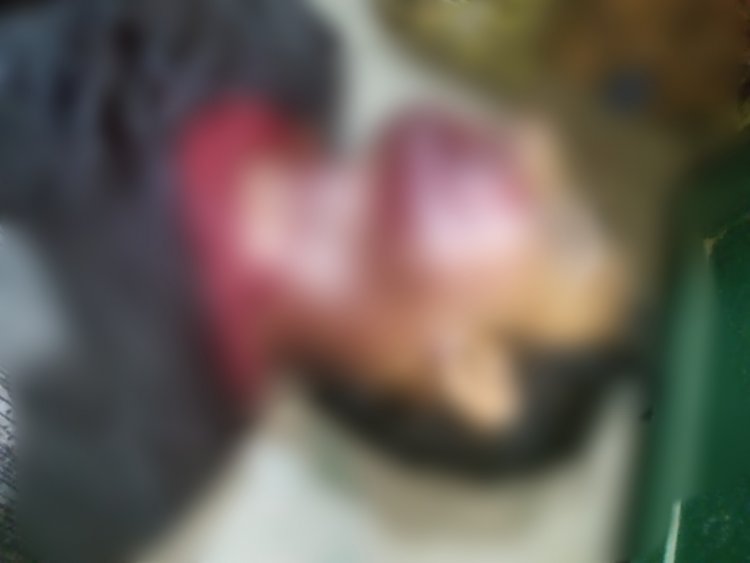 पलामू : किसने मारी तरहसी के एक किराना दुकानदार को गोली