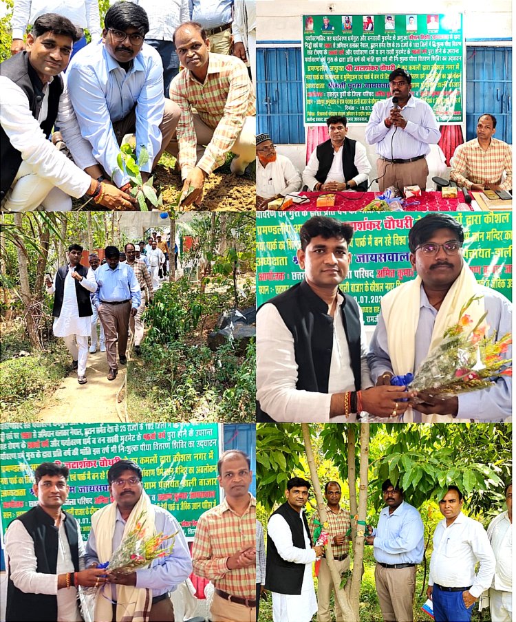 छतरपुर के आदर्श पंचायत डाली बाजार में पलामू डीडीसी और जिला पार्षद अमित ने किया पौधरोपण